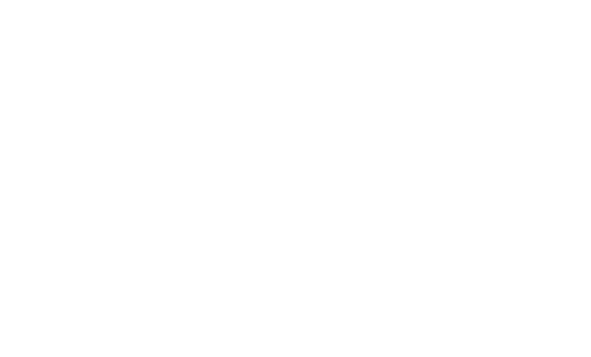 5-Star Logistics Network (5-SLN)