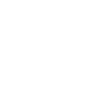 lnm-logo.png